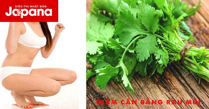 Giảm cân bằng rau mùi nói lời tạm biệt với mỡ thừa