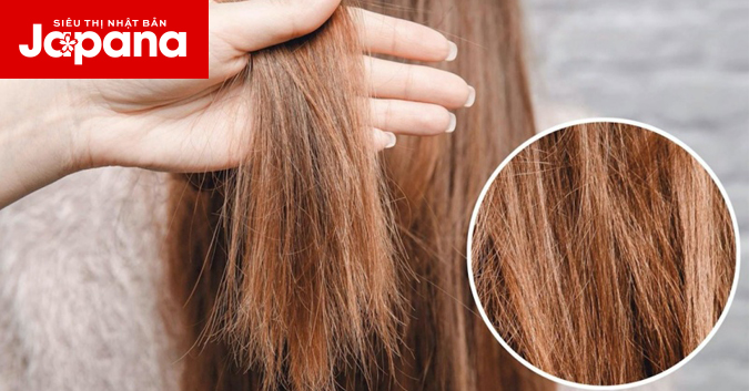 Mẹo phục hồi đuôi tóc khô xơ từ nguyên liệu thiên nhiên