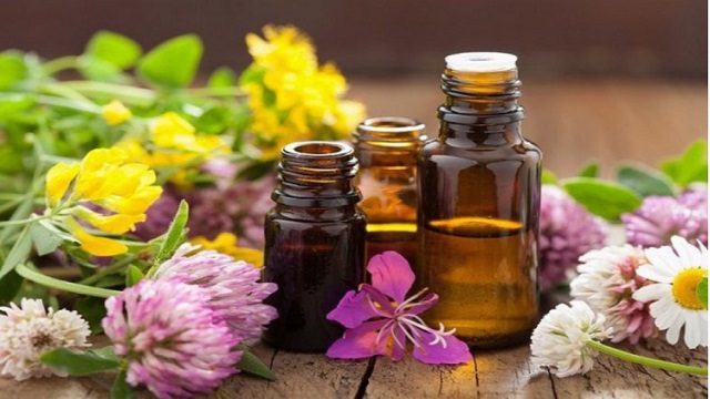 Các loại tinh dầu chăm sóc da tuyệt vời mà bạn cần biết