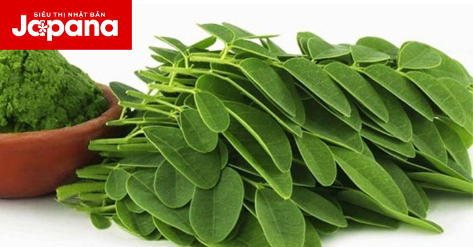 Rau chùm ngây giảm cân hiệu quả an toàn, bạn đã biết chưa?