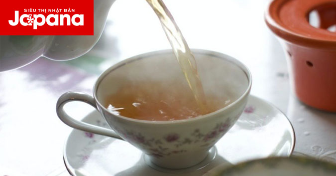 Vì sao trà trắng có thể giúp chống lão hoá tốt hơn cả trà xanh?