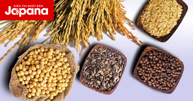 Tổng hợp những thực phẩm ít chất béo tốt cho sức khoẻ và làn da của bạn