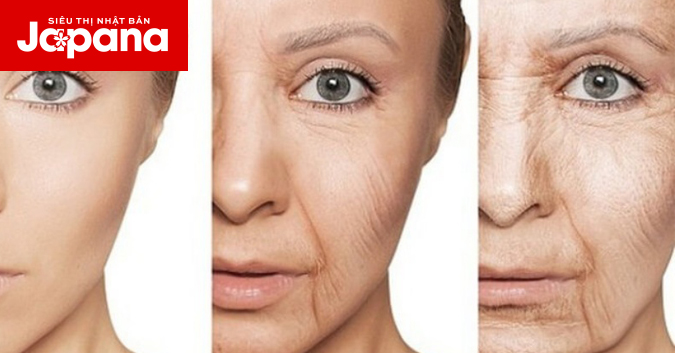 Tất tần tật về lão hoá da