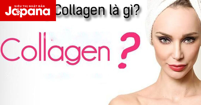 [GIẢI ĐÁP] Collagen là thành phần gì?