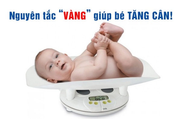 3 nhóm thực phẩm giúp trẻ tăng cần dành cho ba mẹ