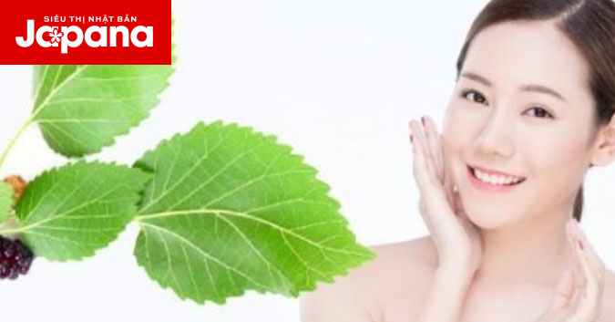 Hướng dẫn làm mặt nạ dâu tằm giúp da sáng mịn rạng ngời ở tuổi 40