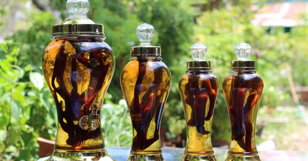8 Loại Rượu Thuốc hổ trợ Yếu Sinh Lý Tốt Nhất Hiện Nay