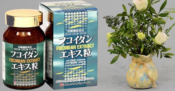 Người bình thường có nên uống Fucoidan không?