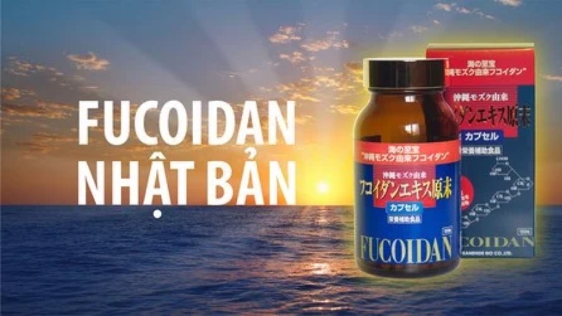 Fucoidan Nhật Bản mua ở đâu chính hãng, uy tín?