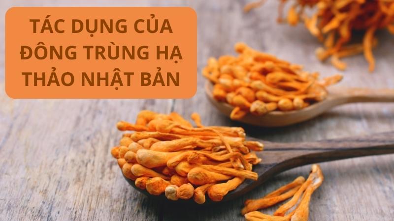 9 Tác Dụng Của Đông Trùng Hạ Thảo Và Cách Sử Dụng Hiệu Quả