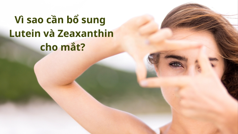 Vì sao cần bổ sung Lutein và Zeaxanthin cho mắt?