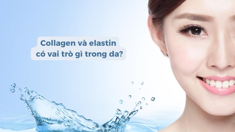 Collagen và elastin có vai trò và tác dụng gì trong da? 