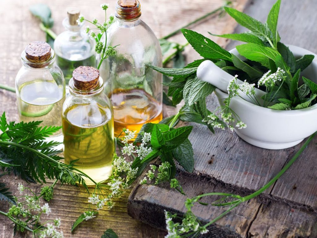 Mỹ phẩm thuần chay là gì - Mỹ phẩm thuần chay có tốt không?