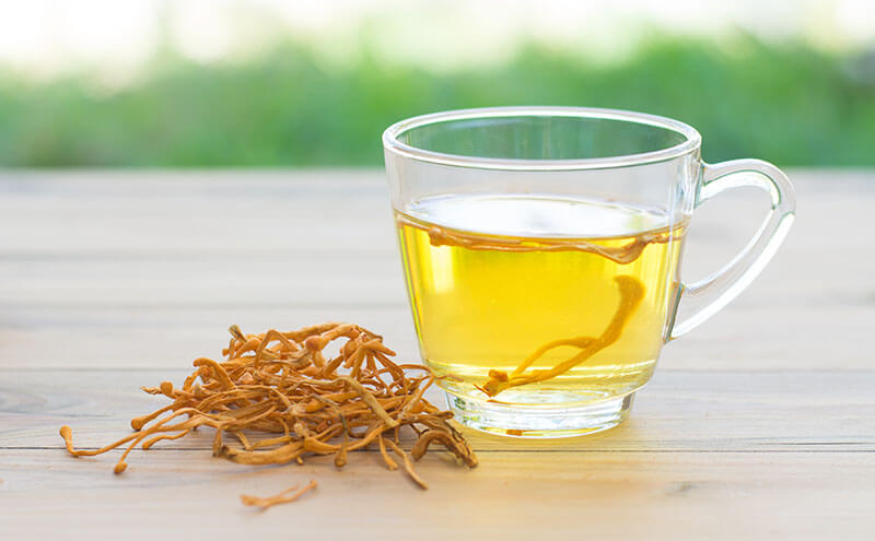 Uống đông trùng hạ thảo trước khi đi ngủ có tốt không?