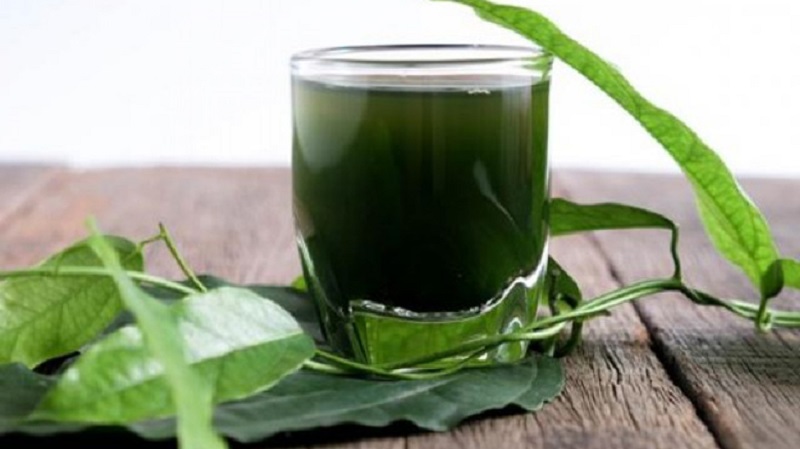 Người bị u xơ có uống tảo biển được không?