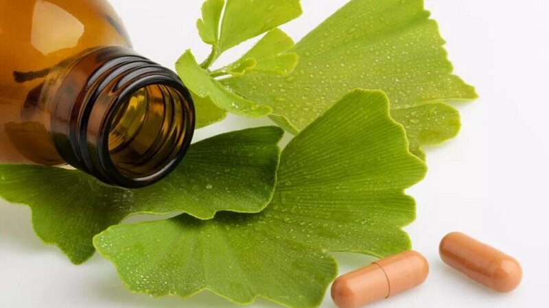  lá Ginkgo Biloba