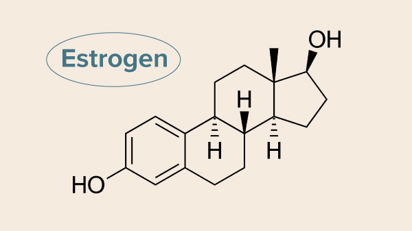 Phytoestrogen là gì, tác dụng của Phytoestrogen đối với nữ giới