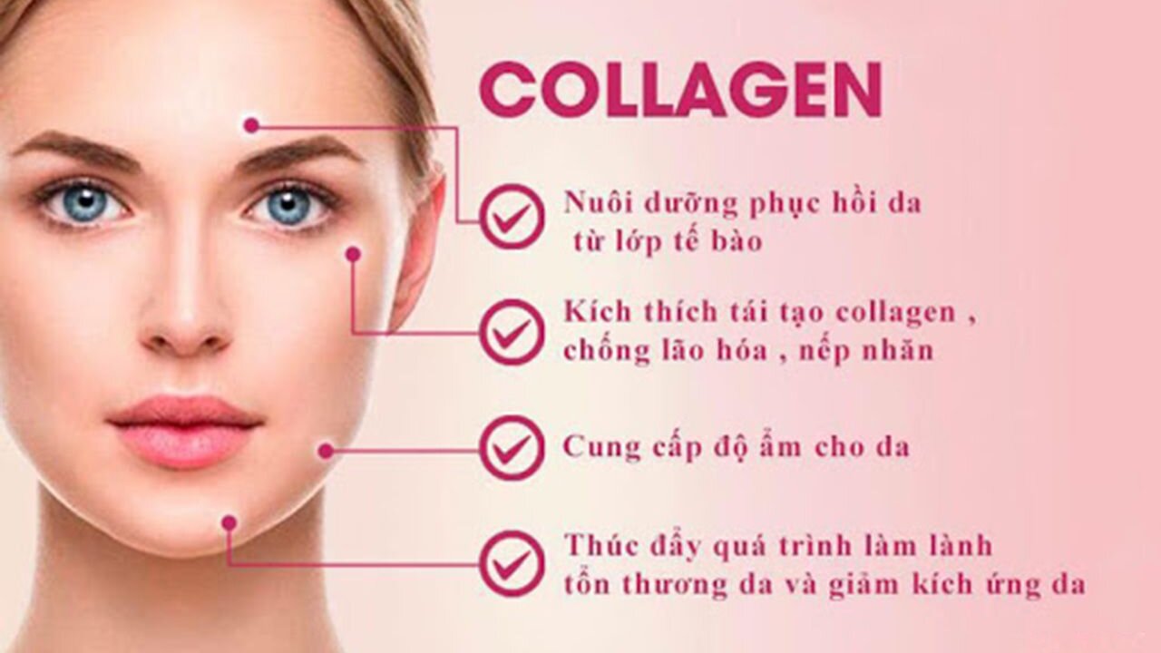 Top collagen Shiseido cho người trên 50 tuổi được tin dùng nhất hiện nay