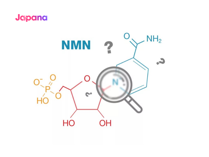 Hoạt chất NMN góp phần sửa chữa DNA, phục hồi tổn thương và trẻ hóa làn da