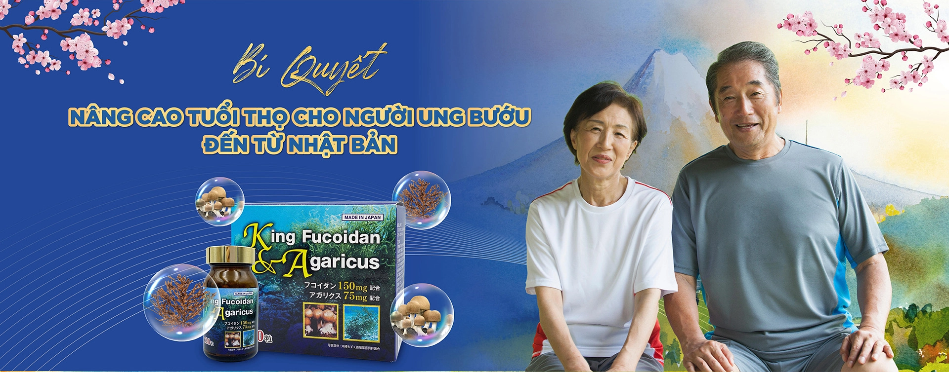 Fucoidan - Bí Quyết Phòng Ngừa Ung Thư Của Người Nhật