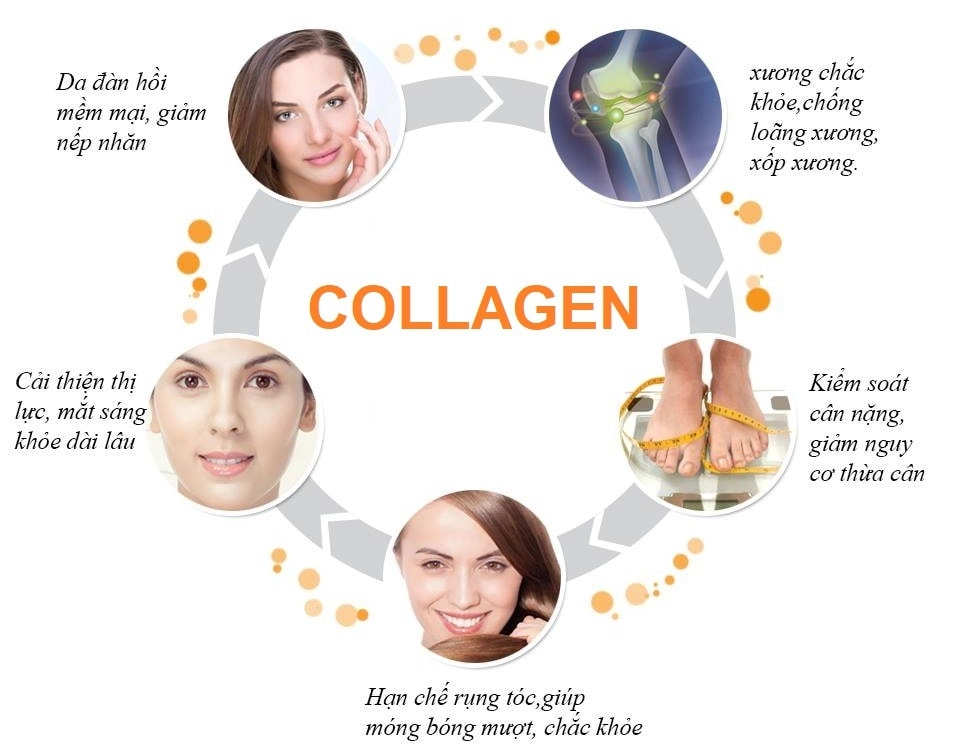 5 Dấu Hiệu Cảnh Báo Bạn Đang Bổ Sung Thừa Collagen