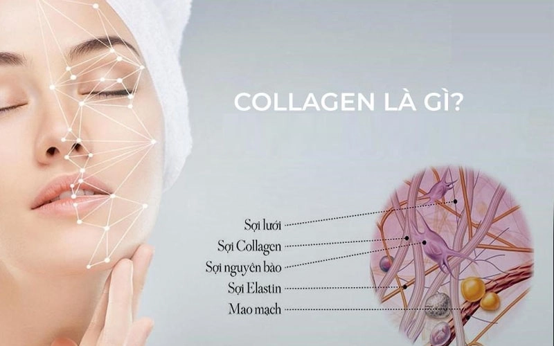 Uống collagen bị nổi mụn phải làm sao? Cách khắc phục hiệu quả