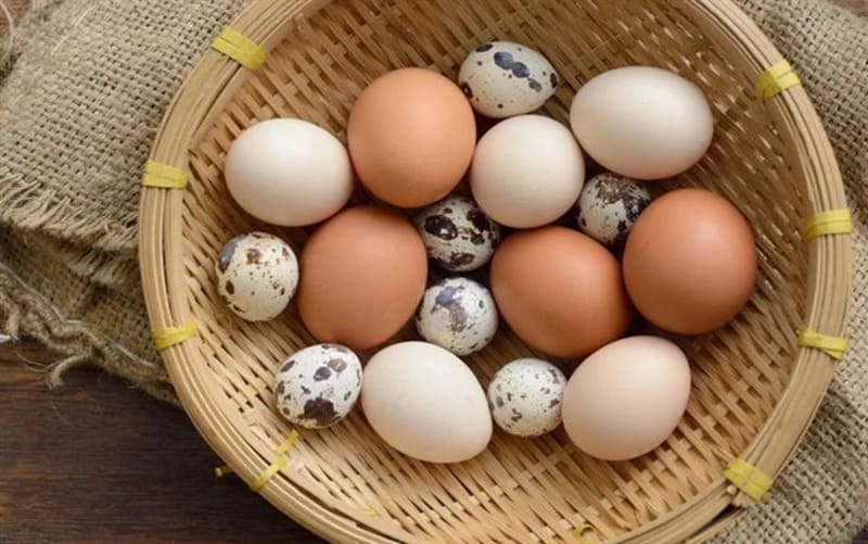 Ăn Trứng Có Cao Không? Cách ăn trứng giúp tăng chiều cao