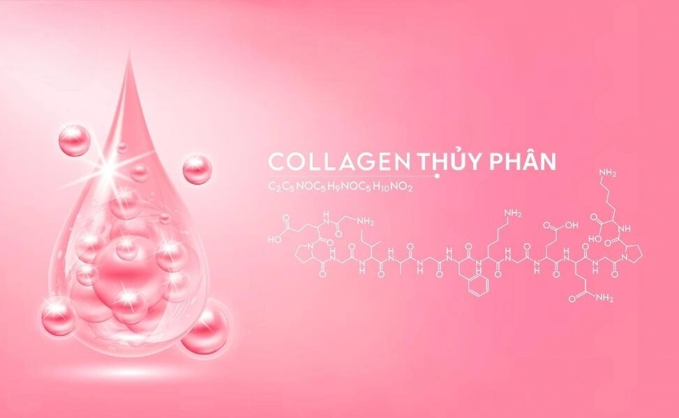 Collagen thủy phân là gì? Có tác dụng gì đối với sức khỏe?