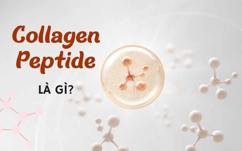 Collagen peptides là gì? Công dụng và cách bổ sung tự nhiên