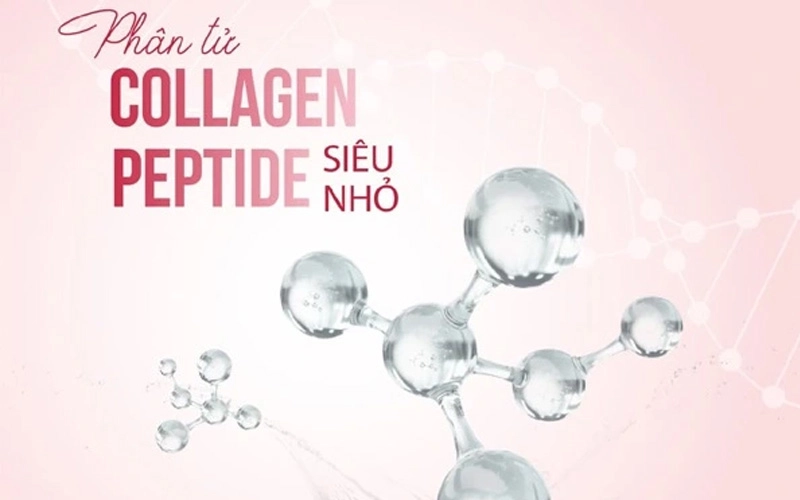 [Góc Giải Đáp] Collagen Dạng Nào Dễ Hấp Thụ Nhất 