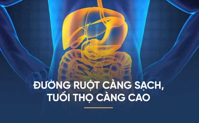 Diệp lục Collagen có tác dụng gì? Cách sử dụng ra sao?