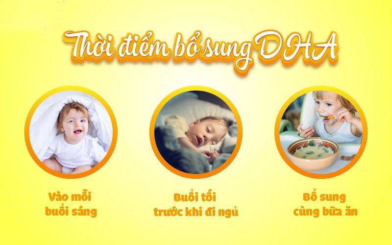Uống DHA Vào Thời Điểm Nào Trong Ngày Để Đạt Hiệu Quả Tốt Nhất?