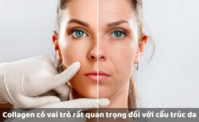 Bao Nhiêu Tuổi Nên Uống Collagen? Công Dụng Tuyệt Vời Của Collagen Không Thể Bỏ Qua!