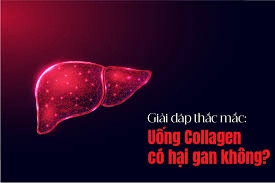 Uống Collagen Có Hại Gan Không? Góc Nhìn Từ Chuyên Gia Và Khoa Học