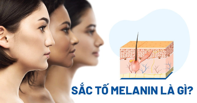 Các Loại Kem Ức Chế Melanin – Bí Quyết Cho Làn Da Sáng Mịn, Không Tỳ Vết