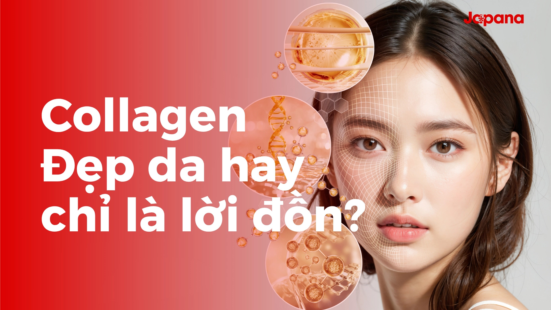 Collagen có tác dụng gì? Bí quyết hấp thu collagen hiệu quả nhất