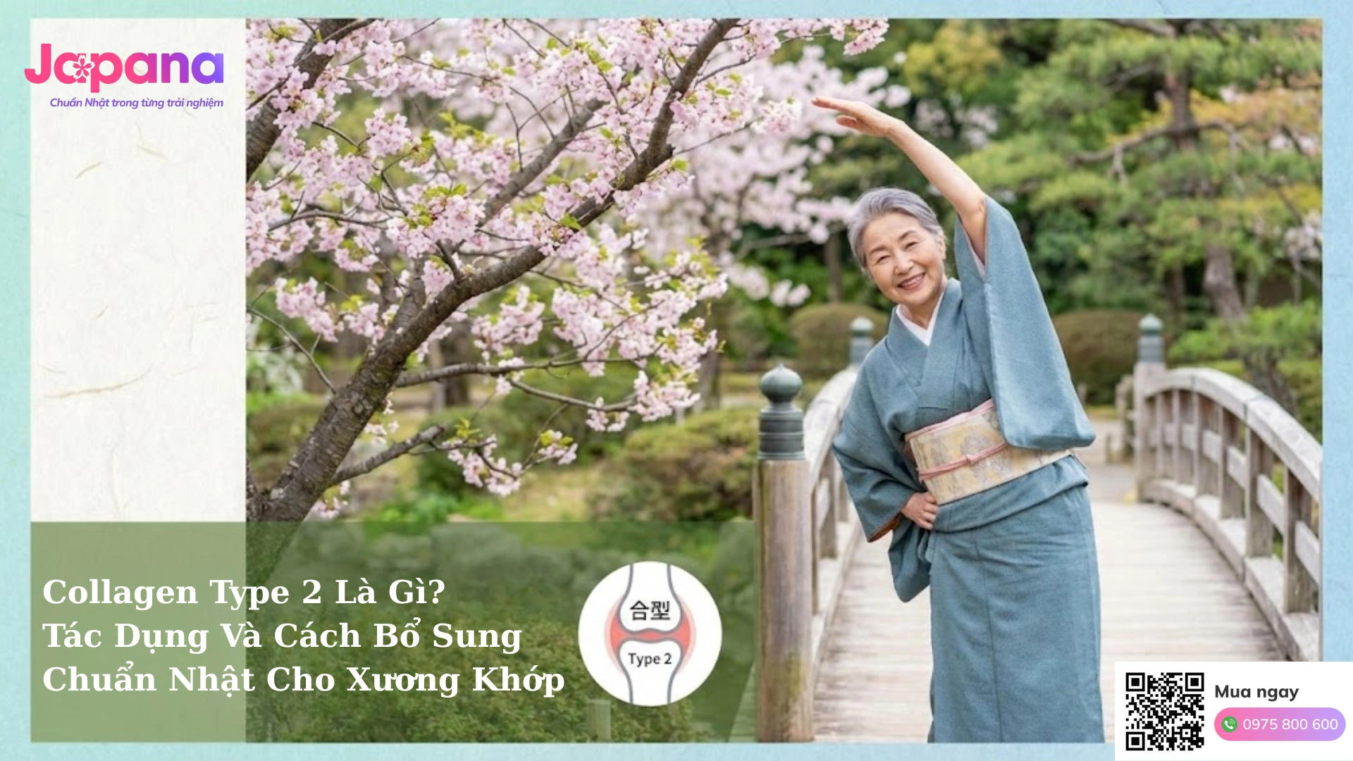 Collagen Type 2: Giải pháp tái tạo sụn khớp và bí quyết từ Nhật Bản