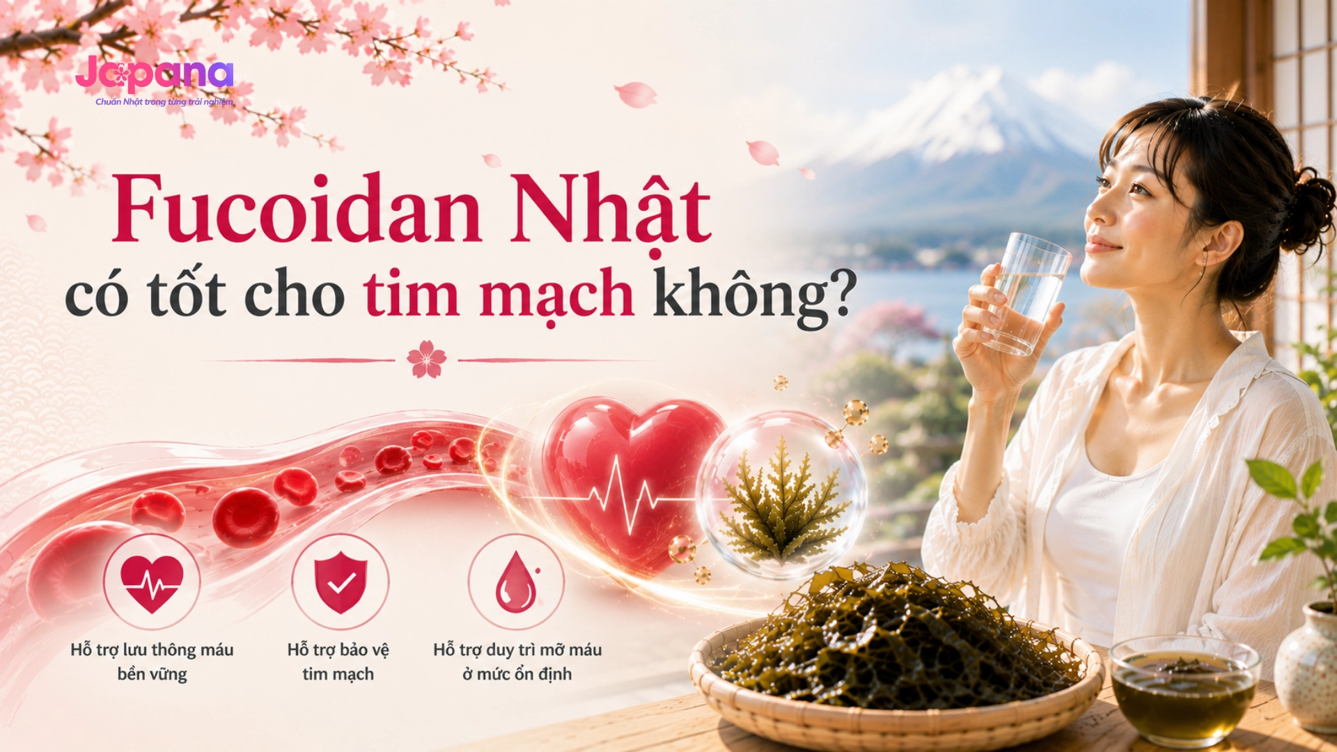 Fucoidan Nhật có tốt cho tim mạch không?