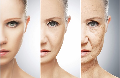 Mỹ phẩm Shiseido có tốt không?